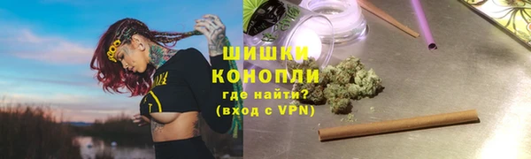 альфа пвп Гусиноозёрск