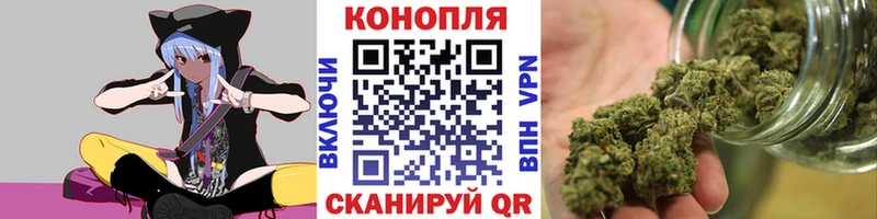 Шишки марихуана планчик  Лыткарино 